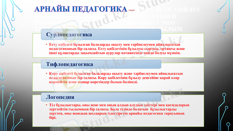 Slide 7