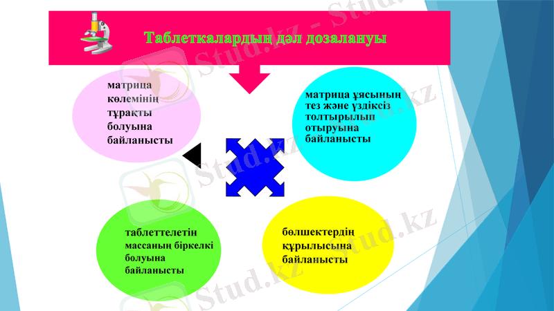 Slide 10