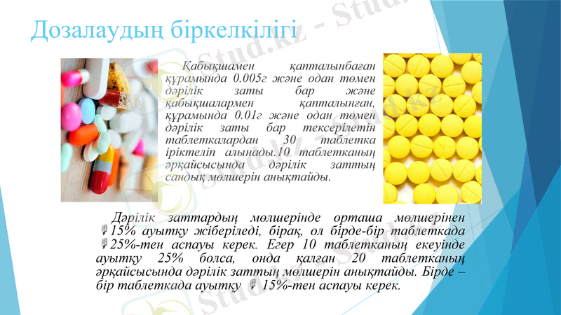 Slide 13