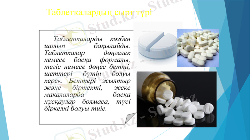 Slide 8