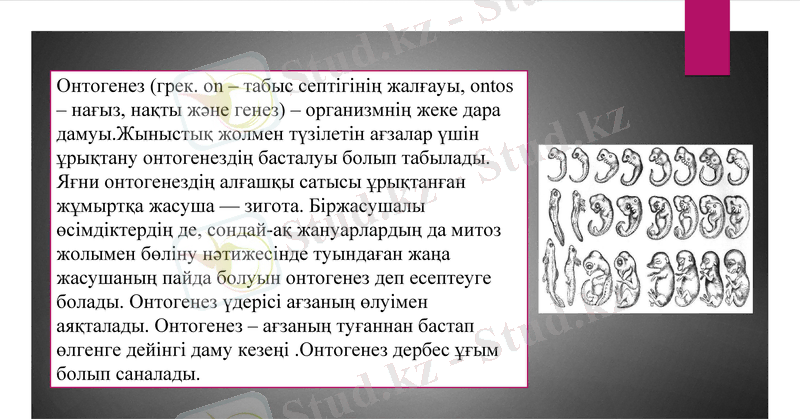 Slide 11