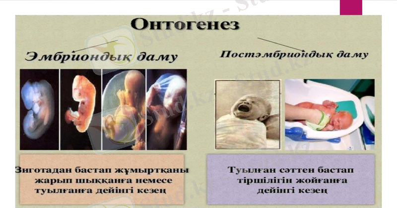 Slide 12