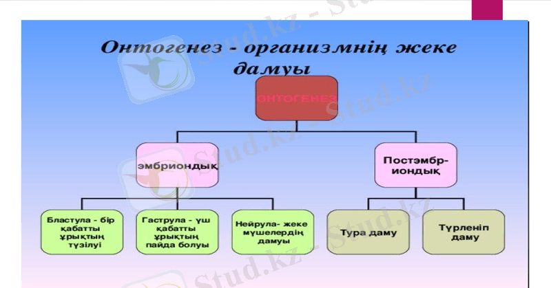 Slide 13
