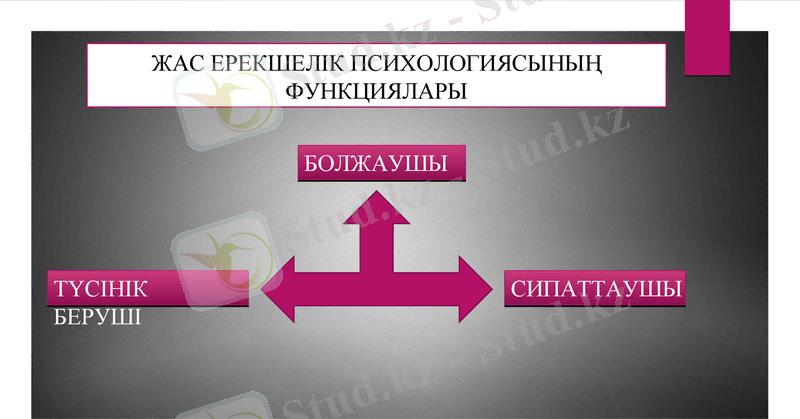 Slide 6