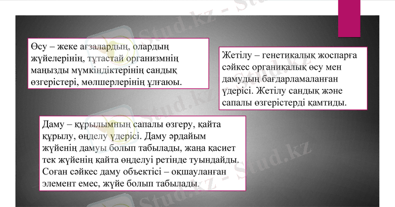 Slide 7