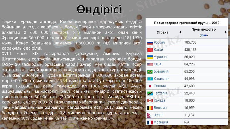 Slide 6