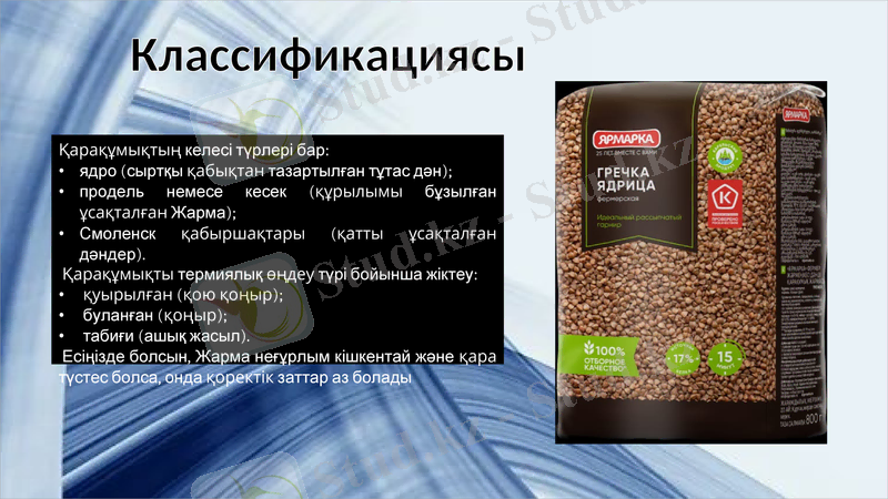 Slide 7