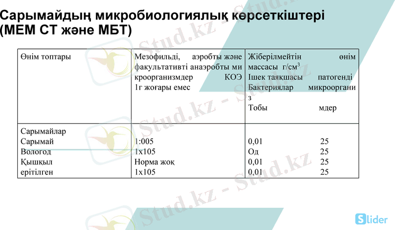 Slide 13