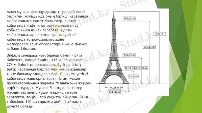 Slide 11