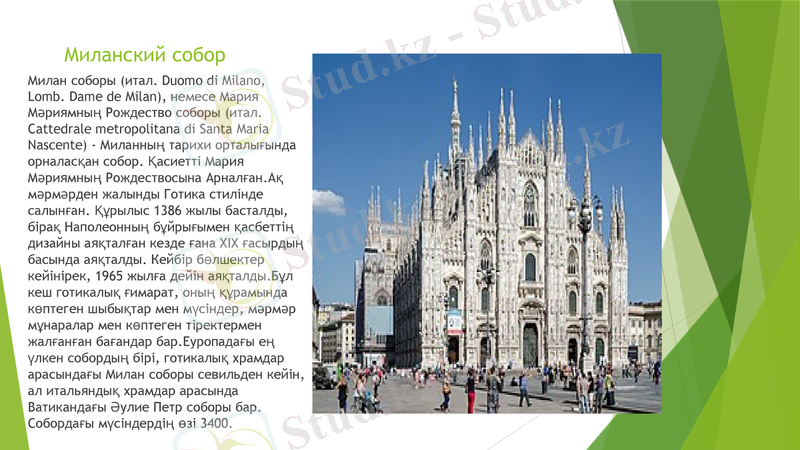 Slide 6