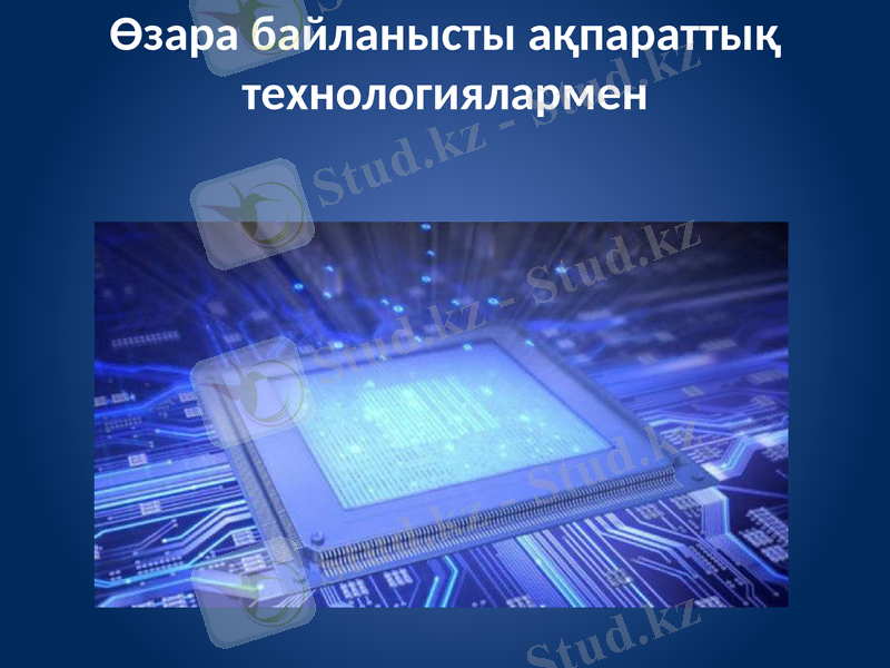 Slide 8