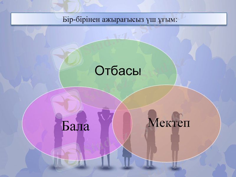 Slide 5