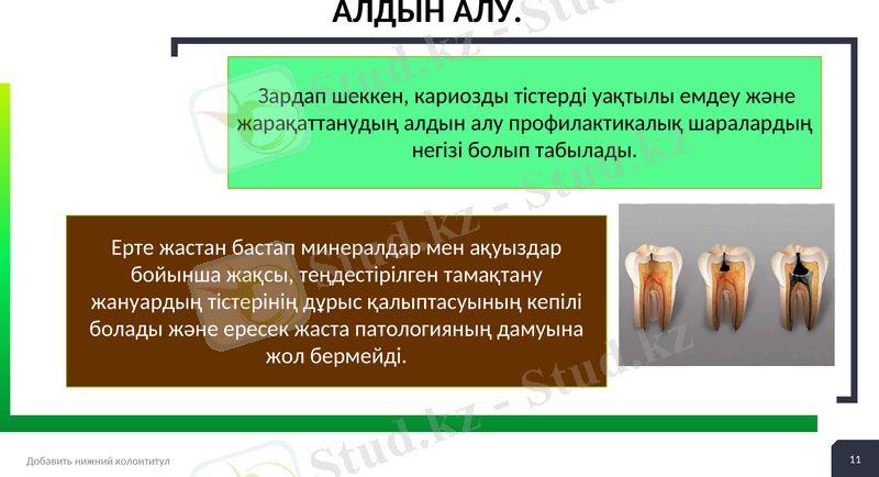 Slide 11