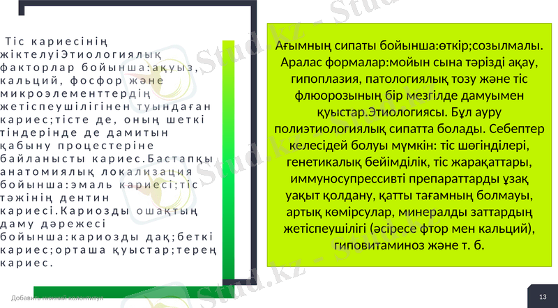 Slide 13