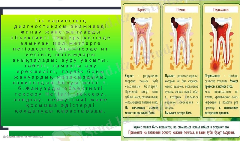 Slide 15