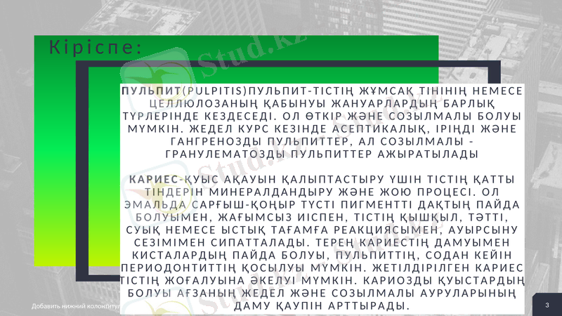 Slide 3