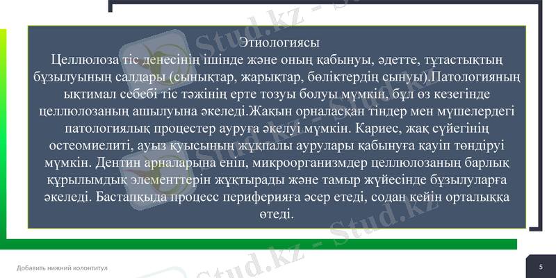 Slide 5