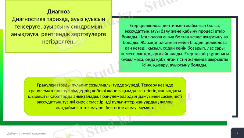 Slide 7