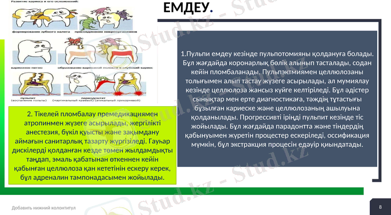 Slide 8