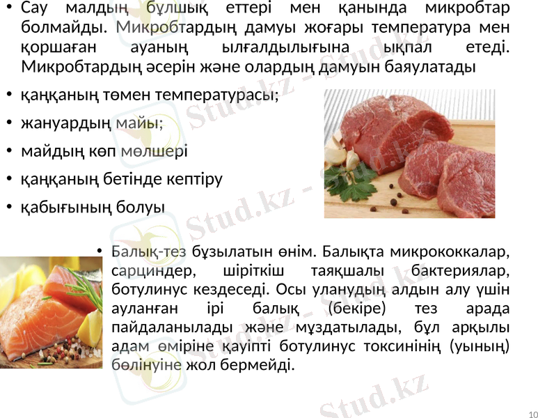 Slide 10