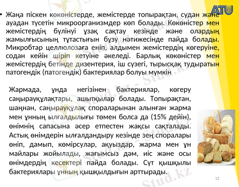 Slide 12