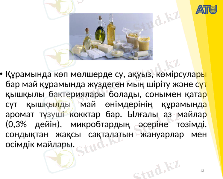 Slide 13