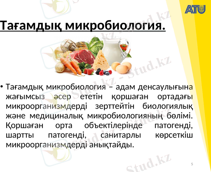 Slide 5
