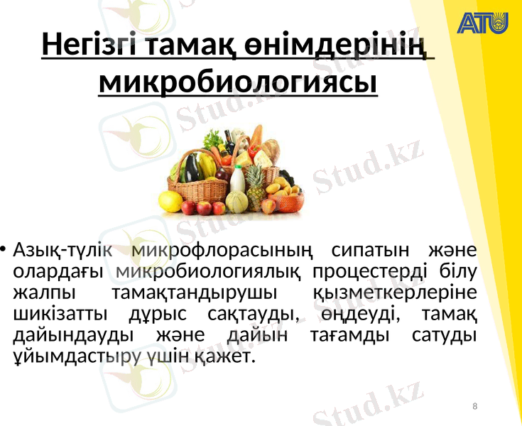 Slide 8