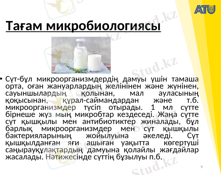 Slide 9