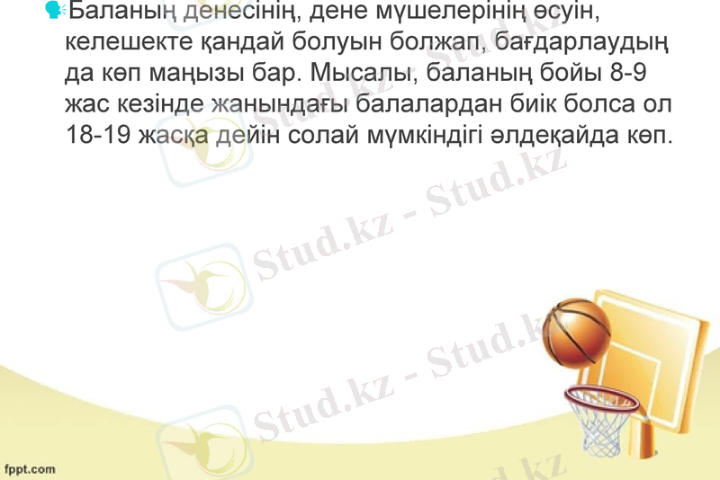 Slide 11
