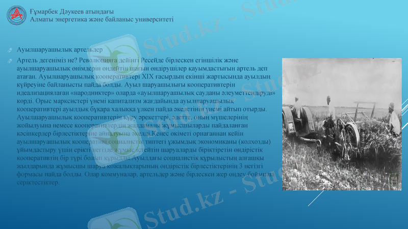 Slide 6