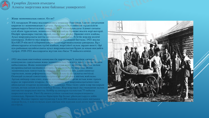 Slide 8
