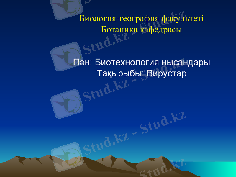 Slide 1
