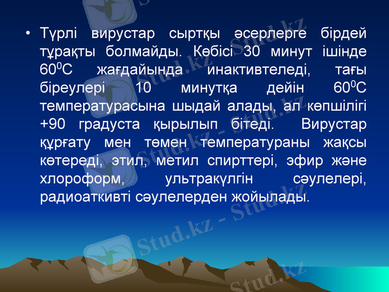 Slide 10