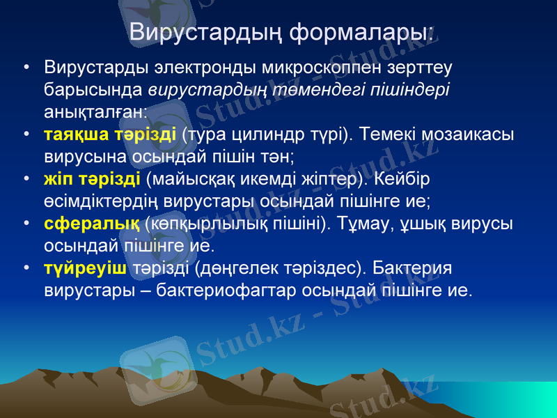 Slide 11