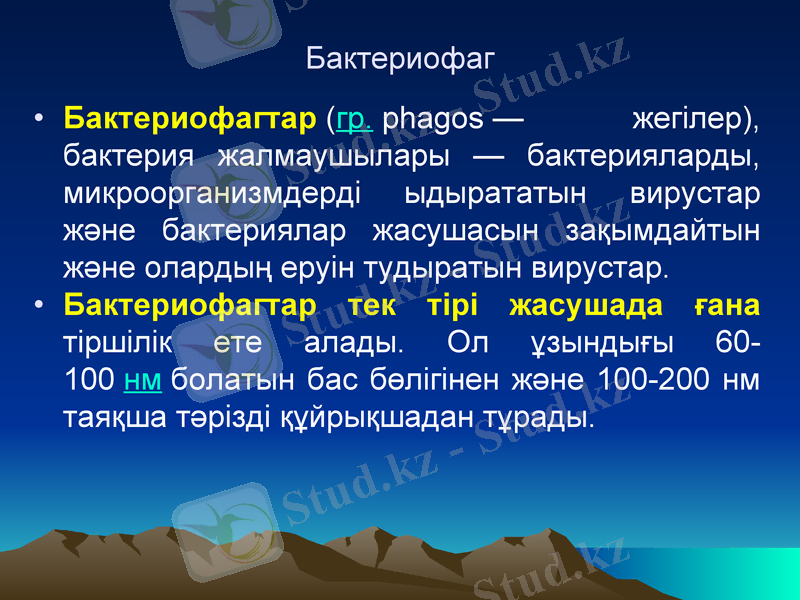 Slide 12