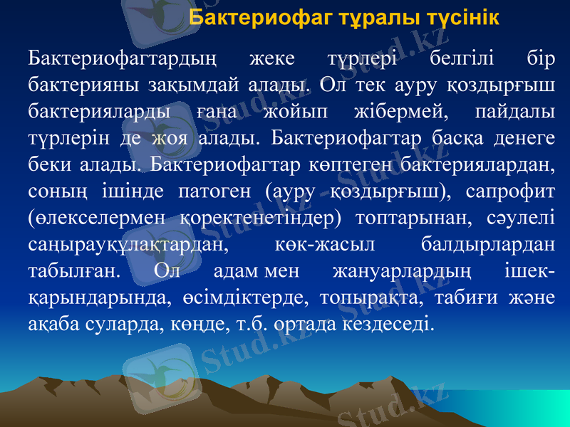 Slide 13