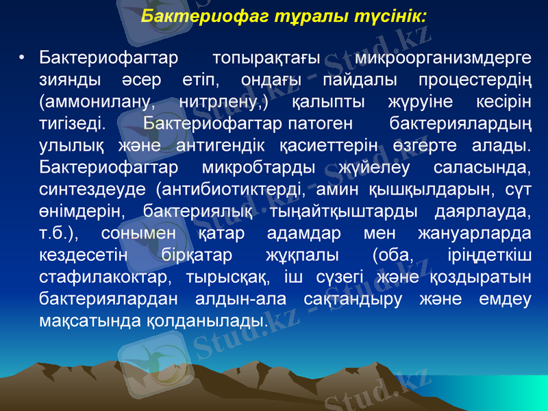 Slide 14