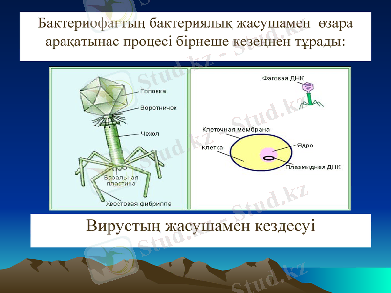 Slide 15