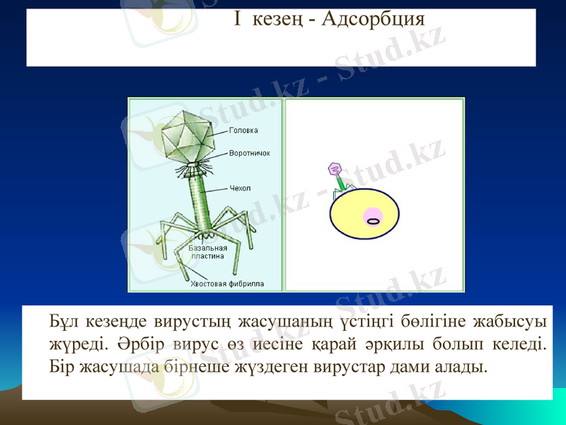 Slide 16