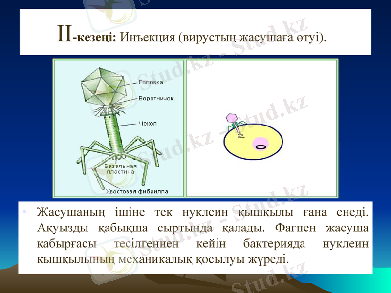 Slide 17