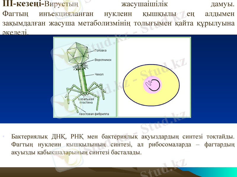 Slide 18