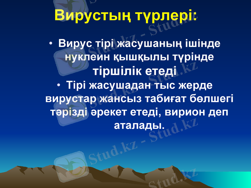 Slide 7