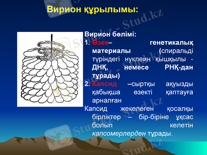 Slide 9