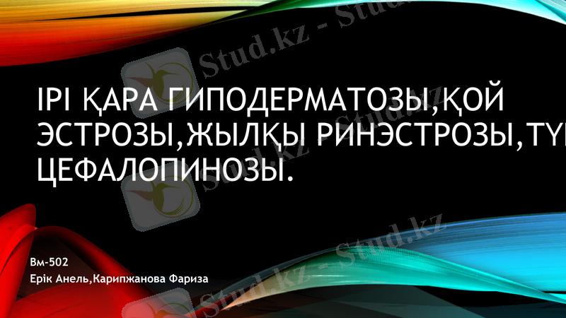 Slide 1