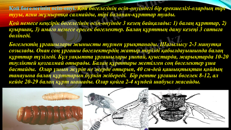 Slide 10