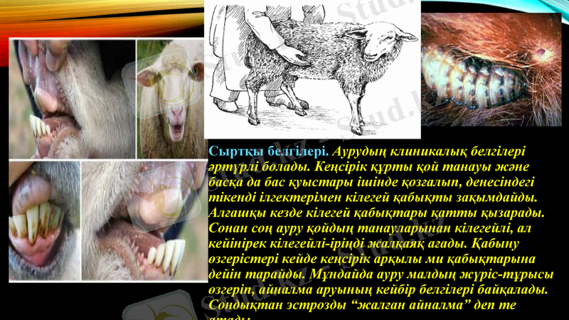 Slide 12