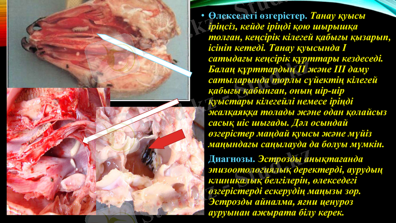 Slide 13