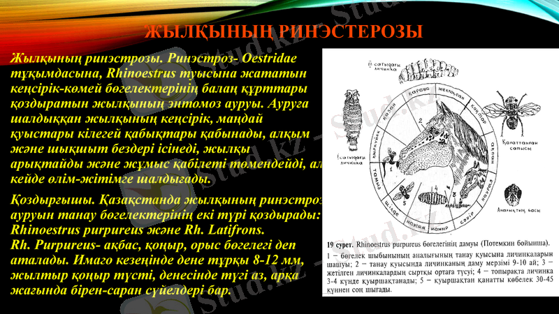 Slide 14