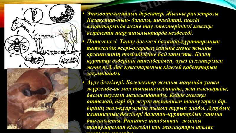 Slide 15